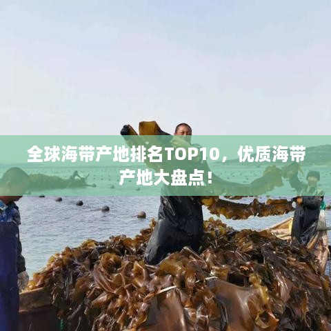 全球海帶產(chǎn)地排名TOP10，優(yōu)質海帶產(chǎn)地大盤點！