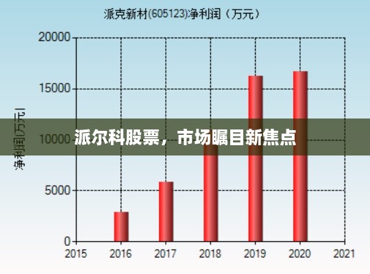 派爾科股票，市場(chǎng)矚目新焦點(diǎn)