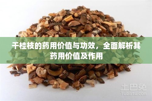 干桂枝的藥用價值與功效，全面解析其藥用價值及作用