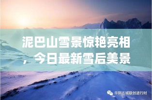 泥巴山雪景驚艷亮相，今日最新雪后美景報(bào)道！