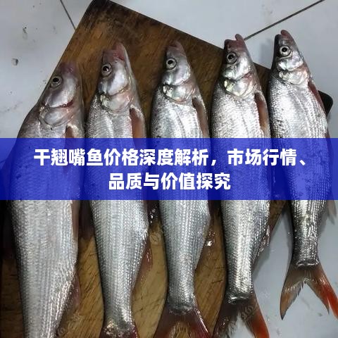 干翹嘴魚價格深度解析，市場行情、品質(zhì)與價值探究