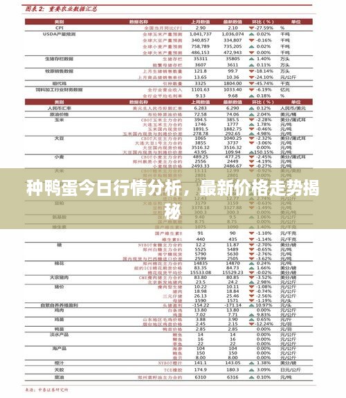 種鴨蛋今日行情分析，最新價(jià)格走勢(shì)揭秘