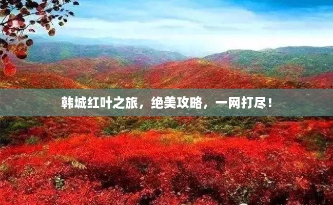 韓城紅葉之旅，絕美攻略，一網(wǎng)打盡！