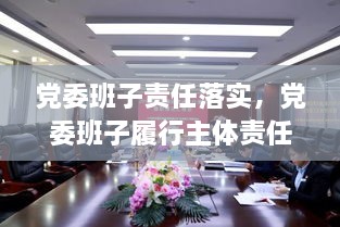 黨委班子責(zé)任落實，黨委班子履行主體責(zé)任的建議 