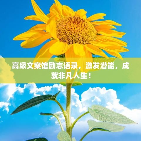 高級文案館勵志語錄，激發(fā)潛能，成就非凡人生！