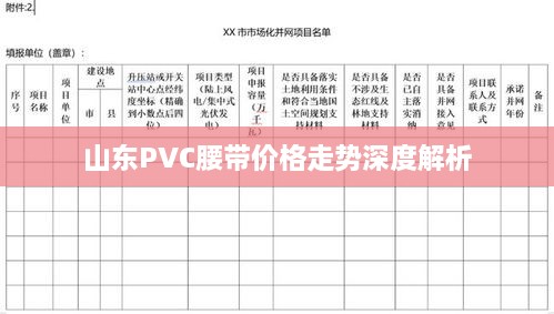 山東PVC腰帶價格走勢深度解析