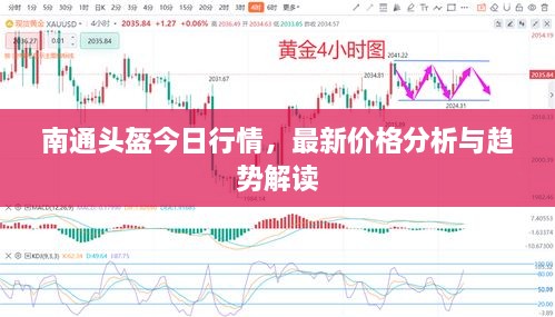 南通頭盔今日行情，最新價(jià)格分析與趨勢(shì)解讀