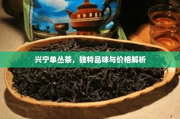 興寧單叢茶，獨特品味與價格解析