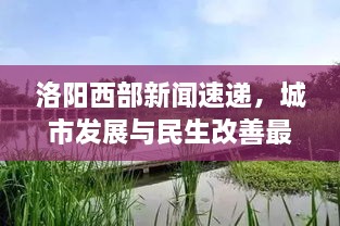 洛陽西部新聞速遞，城市發(fā)展與民生改善最新動態(tài)報道