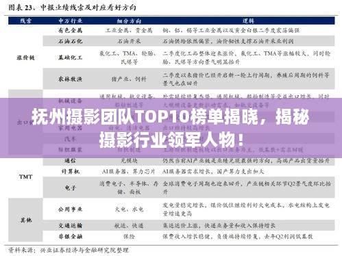 撫州攝影團(tuán)隊TOP10榜單揭曉，揭秘攝影行業(yè)領(lǐng)軍人物！