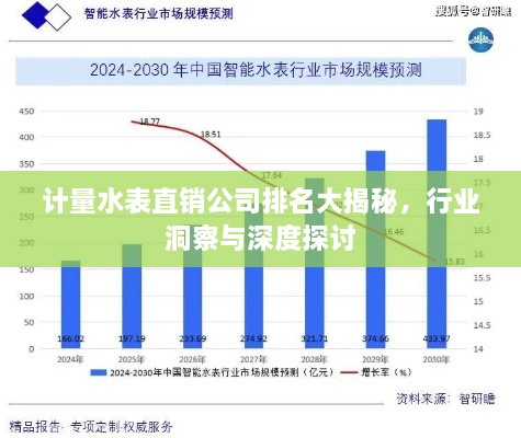 計(jì)量水表直銷公司排名大揭秘，行業(yè)洞察與深度探討