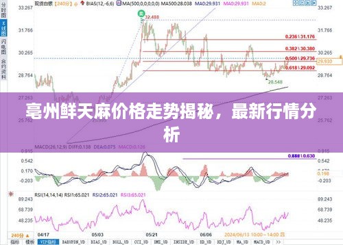 亳州鮮天麻價(jià)格走勢(shì)揭秘，最新行情分析