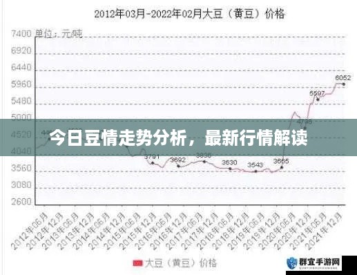 今日豆情走勢分析，最新行情解讀