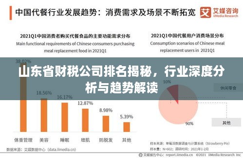 山東省財稅公司排名揭秘，行業(yè)深度分析與趨勢解讀