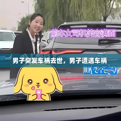 男子突發(fā)車禍去世，男子遭遇車禍 