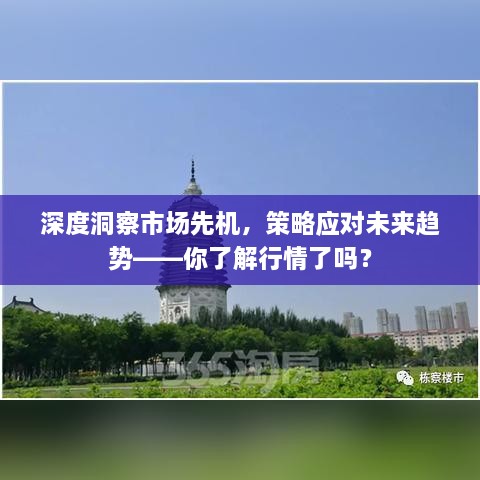 深度洞察市場先機，策略應對未來趨勢——你了解行情了嗎？