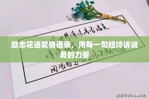 勵志花語愛情語錄，用每一句短詩訴說愛的力量