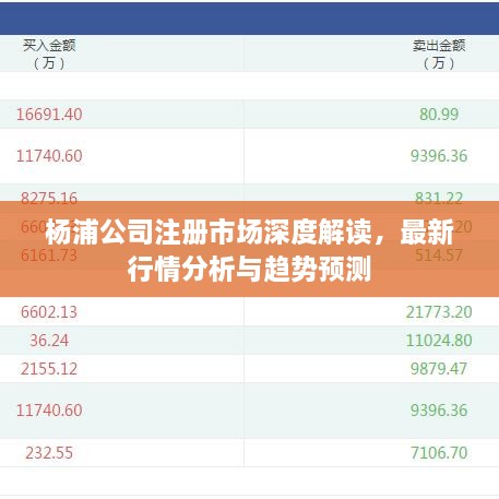 楊浦公司注冊市場深度解讀，最新行情分析與趨勢預測