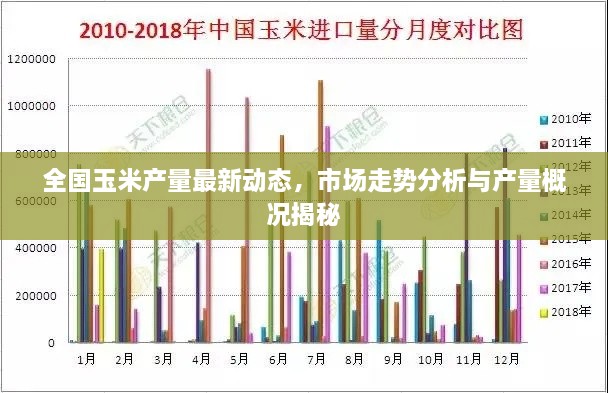 全國玉米產量最新動態(tài)，市場走勢分析與產量概況揭秘